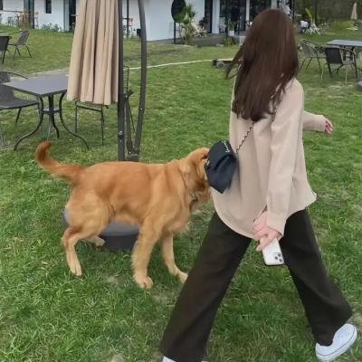 雅达布和波尔
